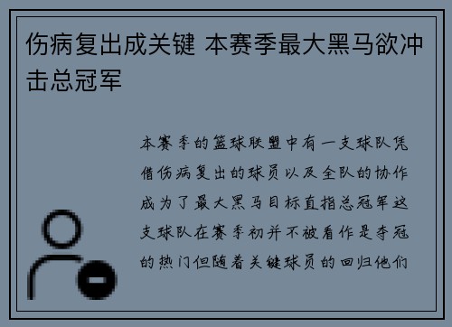 伤病复出成关键 本赛季最大黑马欲冲击总冠军